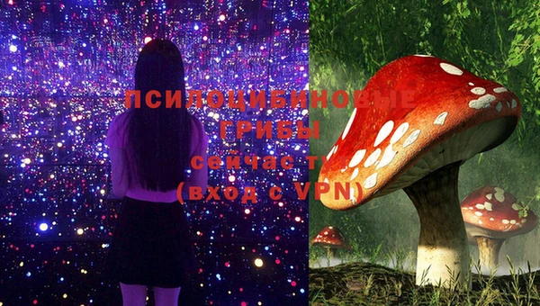 шишки Алексеевка