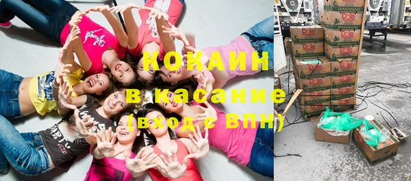 МДПВ Алзамай