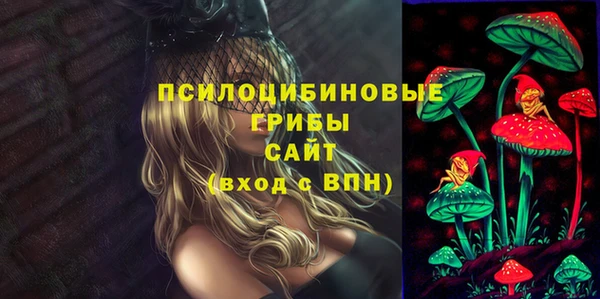 МДПВ Алзамай
