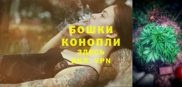стаф Горнозаводск