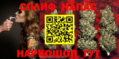 jwh Нарткала