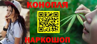 крисы Нальчик