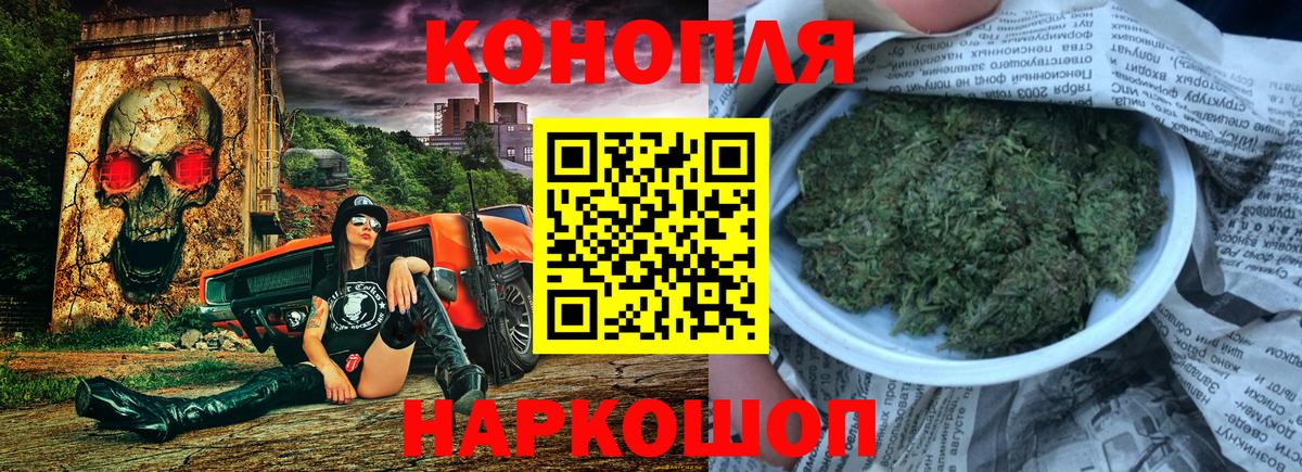 Канабис сатива Югорск
